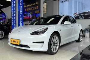 Model 3 特斯拉 標(biāo)準(zhǔn)續(xù)航后驅(qū)升級(jí)版