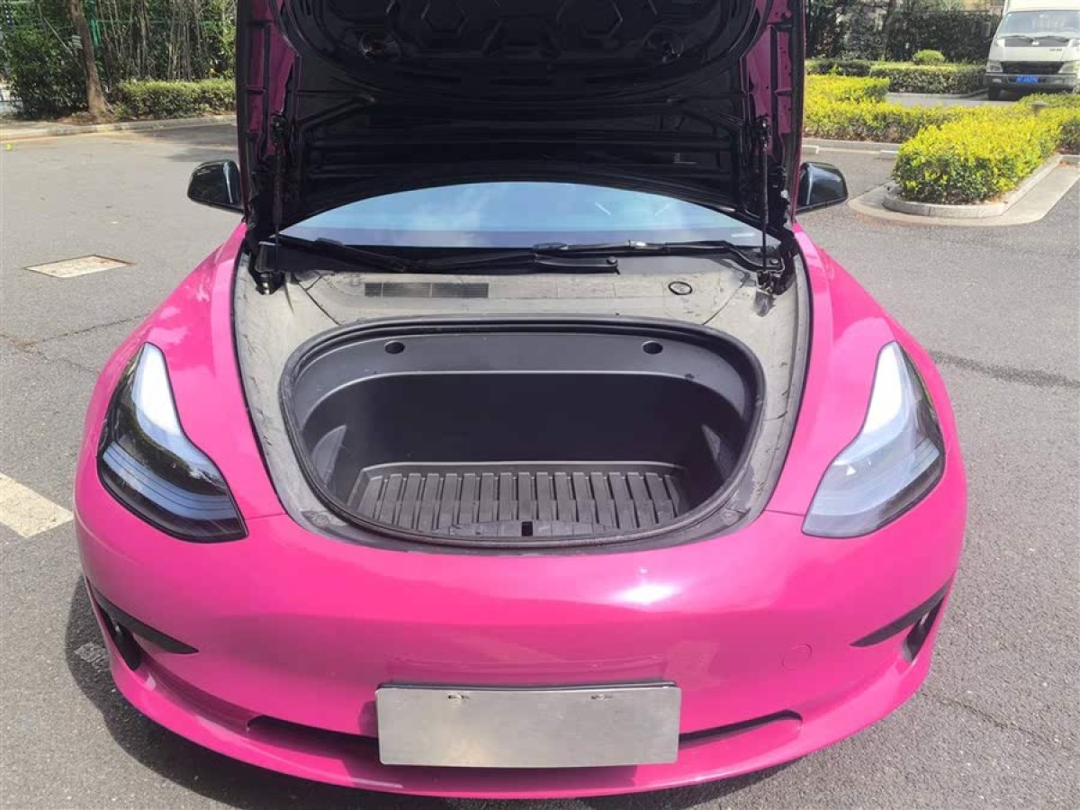 特斯拉 Model 3  2022款 后輪驅(qū)動(dòng)版圖片