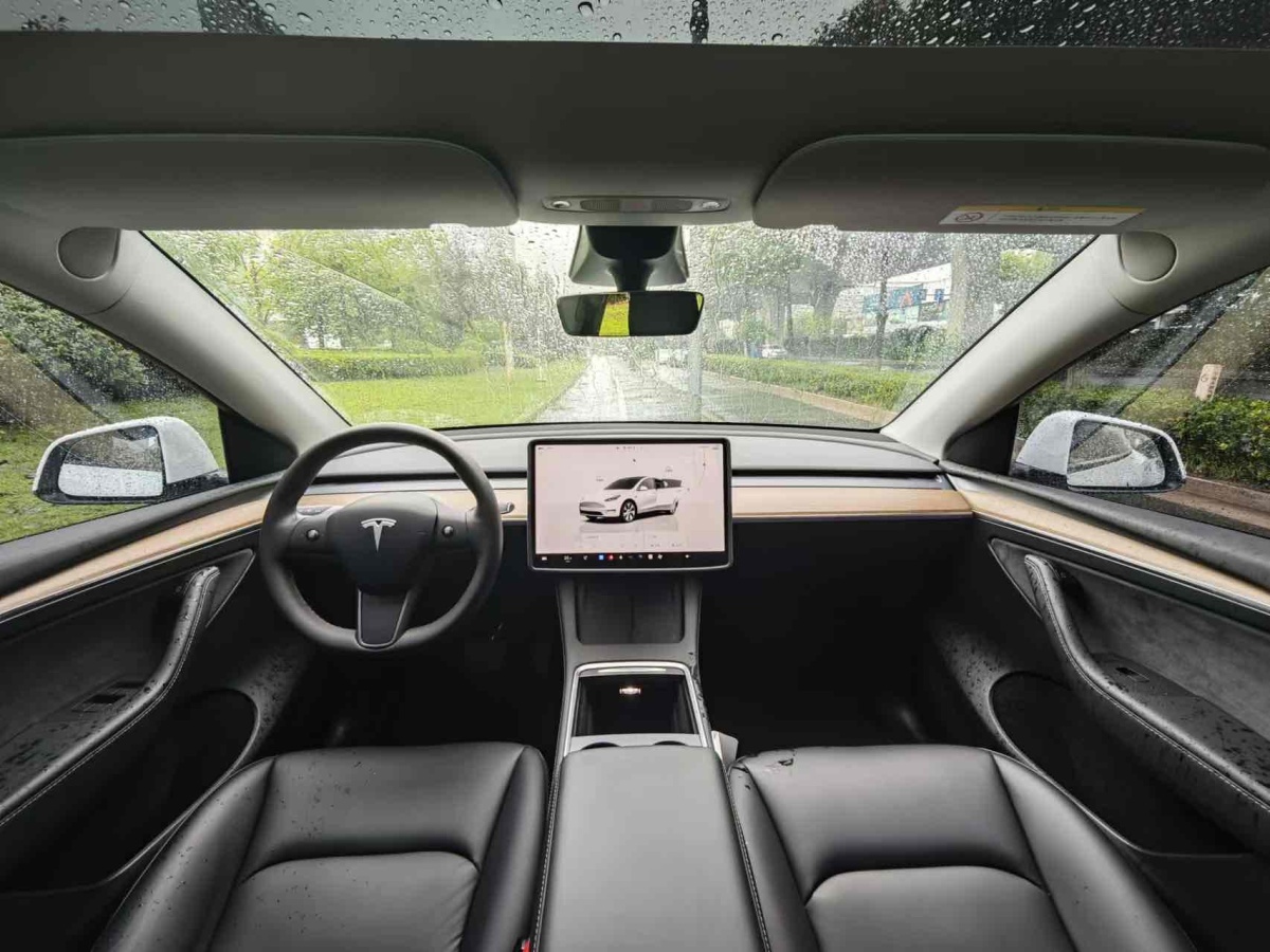 特斯拉 Model Y  2020款 改款 長(zhǎng)續(xù)航后輪驅(qū)動(dòng)版圖片