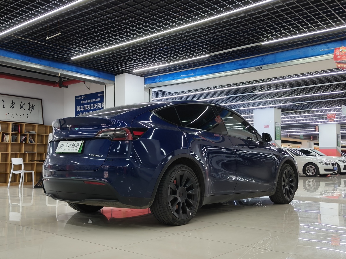 特斯拉 Model Y  2021款 改款 Performance高性能全輪驅(qū)動版圖片