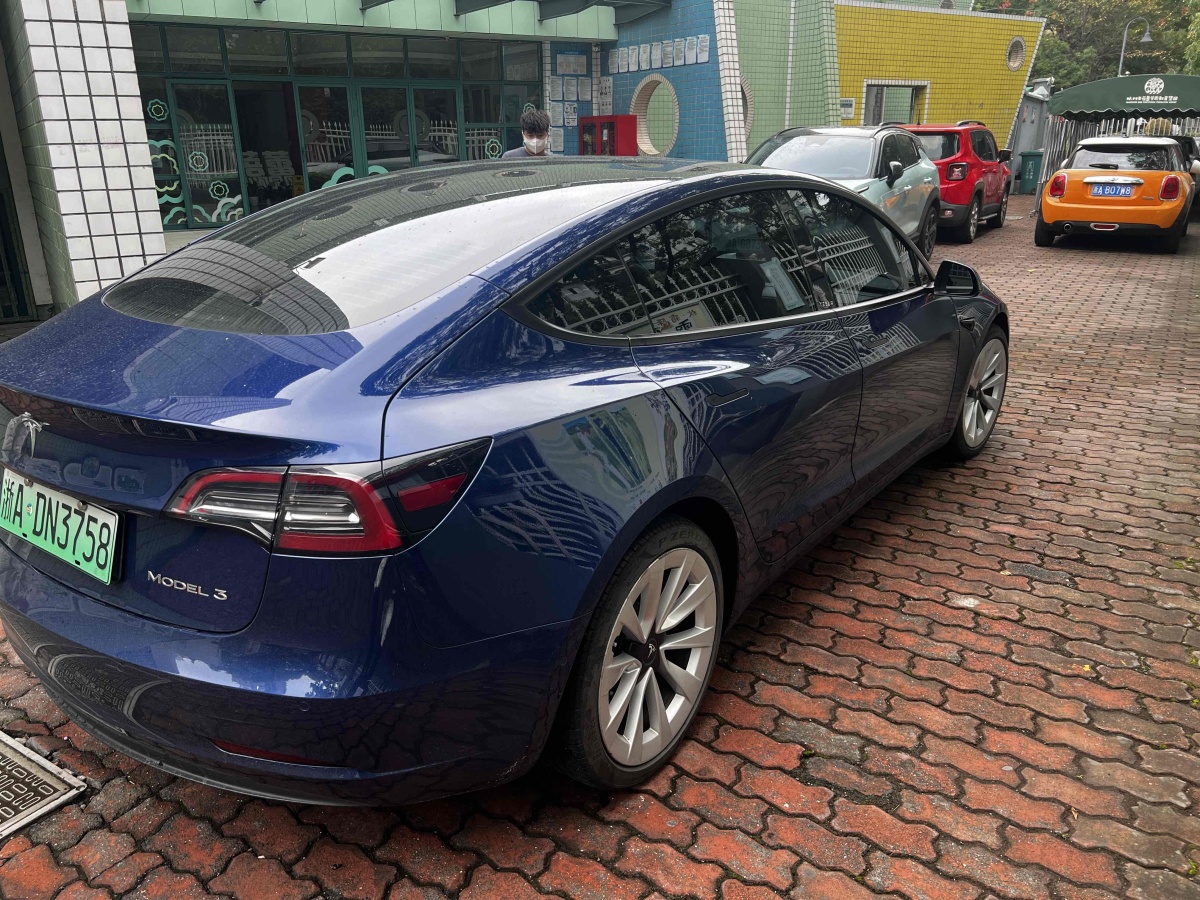 特斯拉 Model 3  2019款 標準續(xù)航后驅(qū)升級版圖片