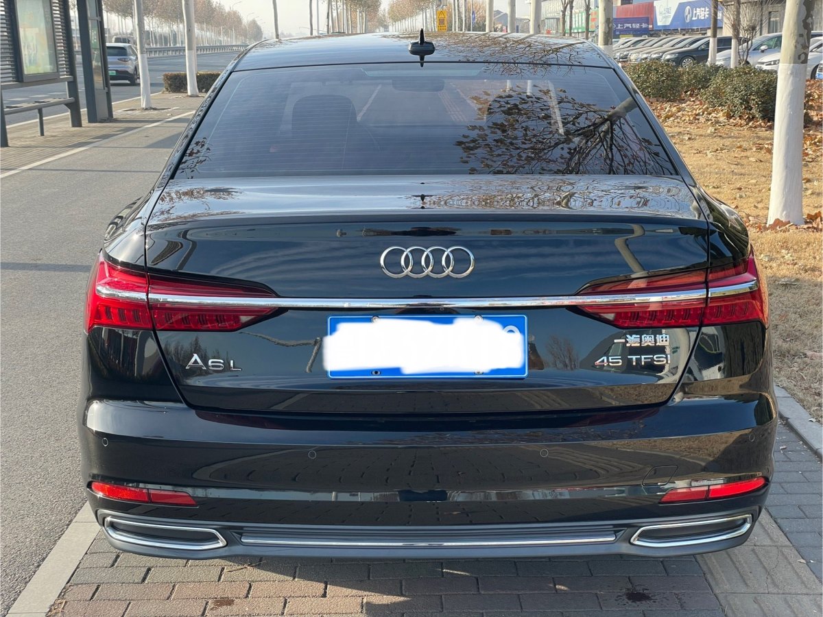 奧迪 奧迪A6L  2019款 45 TFSI 臻選致雅型圖片