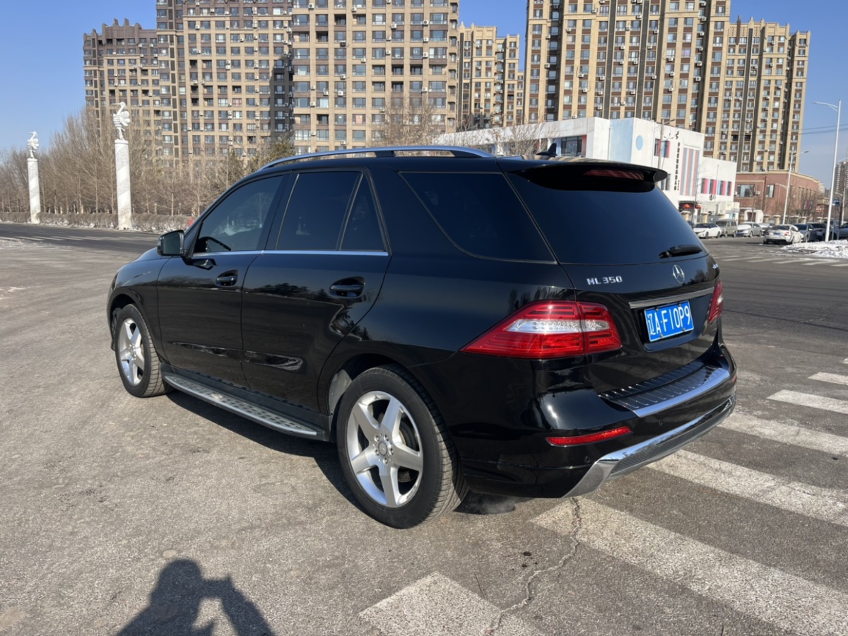 奔馳 奔馳M級(jí)  2012款 ML 350 豪華型圖片