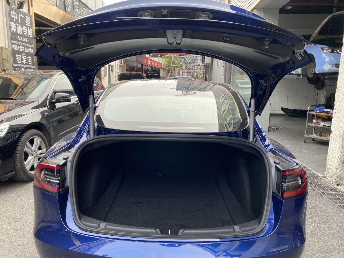 特斯拉 Model 3  2019款 標(biāo)準續(xù)航后驅(qū)升級版圖片