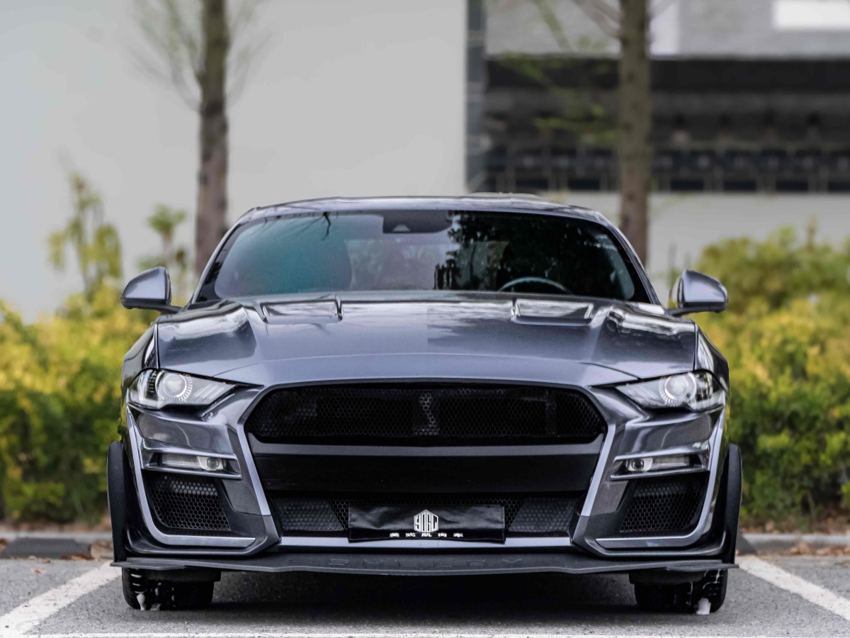 福特 Mustang  2019款 2.3L EcoBoost图片