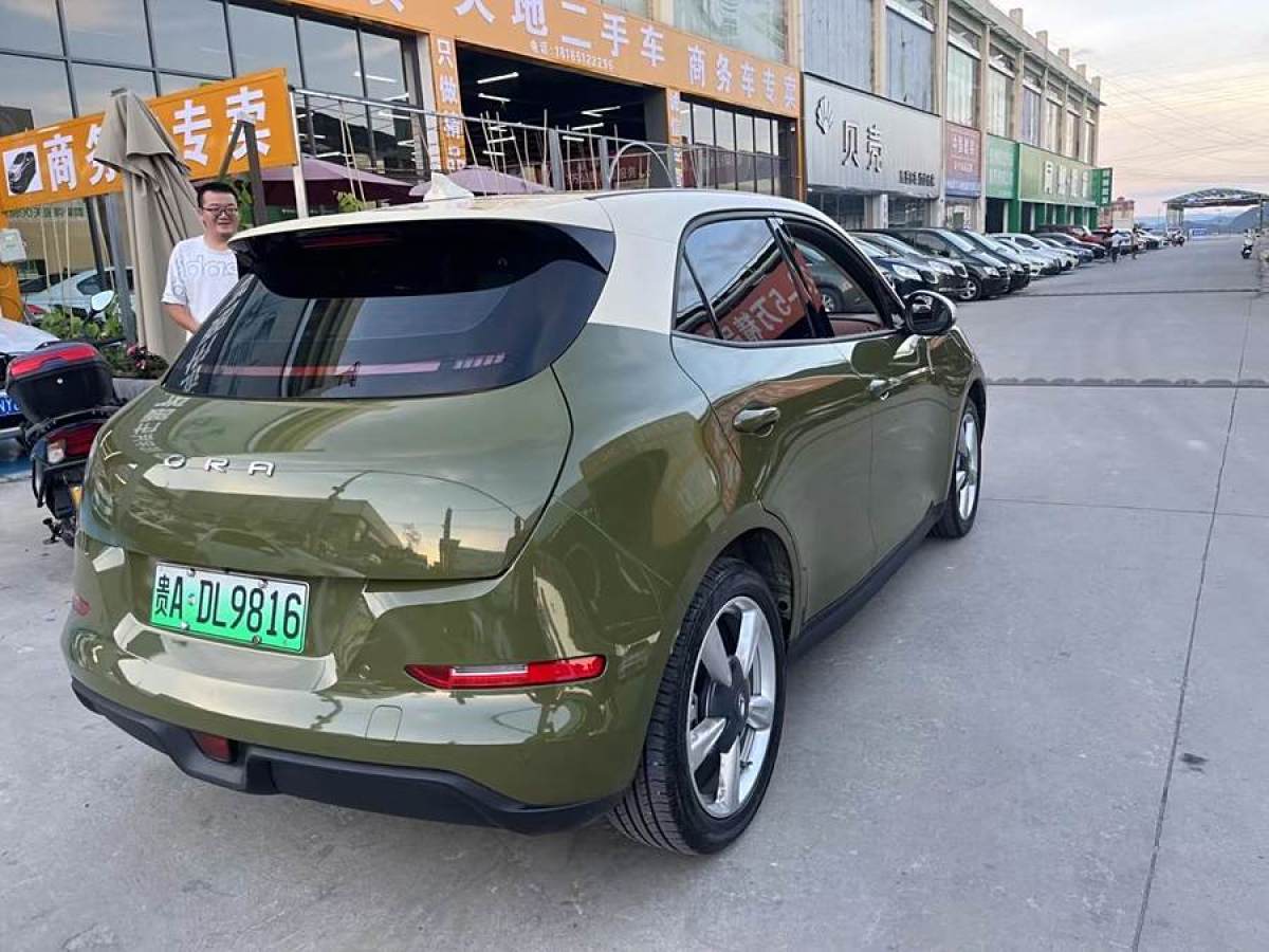 欧拉 欧拉好猫GT  2023款 木兰版 401km 尊荣型图片