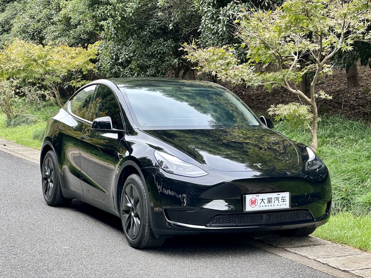 特斯拉 Model Y  2023款 煥新版 后輪驅(qū)動圖片