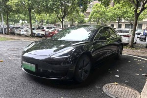 Model 3 特斯拉 改款 標(biāo)準(zhǔn)續(xù)航后驅(qū)升級版