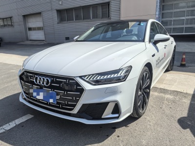 2024年4月 奧迪 奧迪A7L 45 TFSI quattro S-line 圣騎士圖片