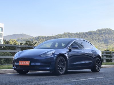 2020年5月 特斯拉 Model 3 標(biāo)準(zhǔn)續(xù)航后驅(qū)升級版圖片