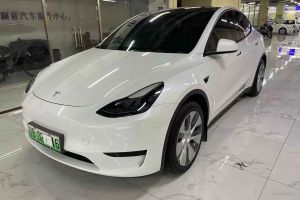 Model Y 特斯拉 Performance高性能全輪驅(qū)動版