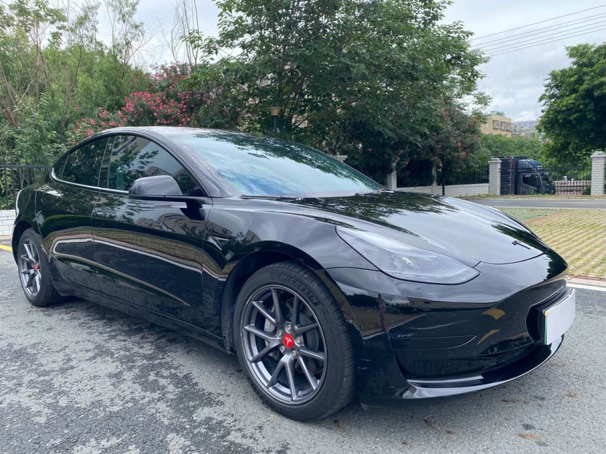 特斯拉 Model 3  2022款 后輪驅(qū)動版圖片