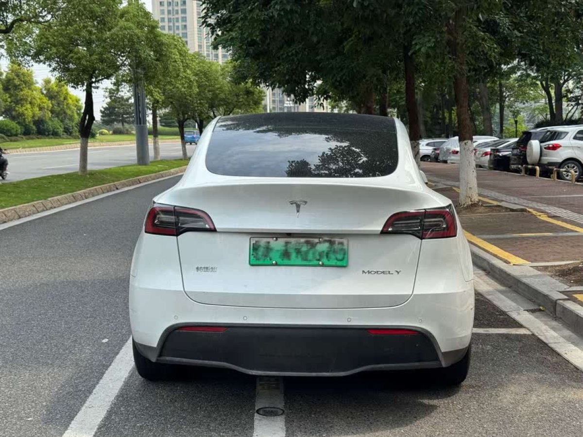 特斯拉 Model Y  2021款 標(biāo)準(zhǔn)續(xù)航后驅(qū)版圖片