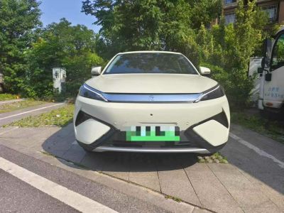 2025年5月 比亞迪 元UP 智駕版 401KM 活力版圖片