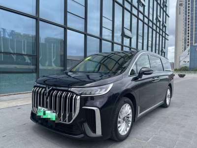 2024年2月 岚图 梦想家 PHEV 超长续航尊贵版图片