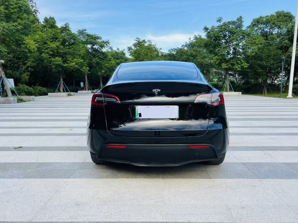 特斯拉 Model Y  2021款 改款 標(biāo)準(zhǔn)續(xù)航后驅(qū)升級(jí)版圖片