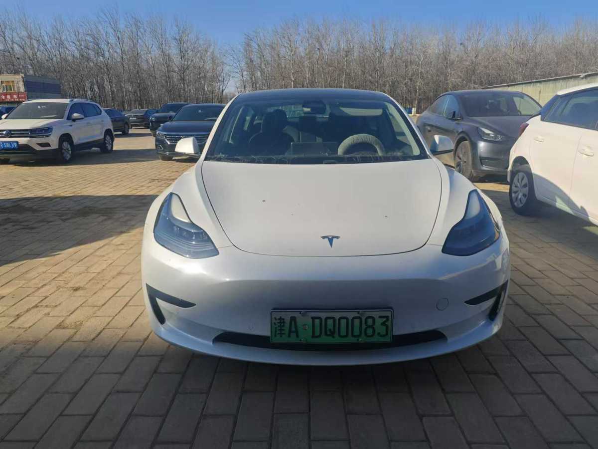 特斯拉 Model 3  2019款 標(biāo)準(zhǔn)續(xù)航后驅(qū)升級(jí)版圖片