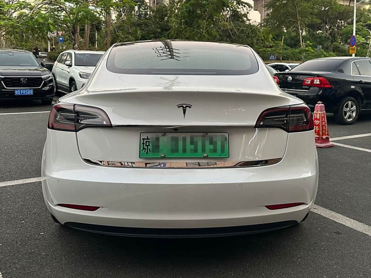 特斯拉 Model 3  2019款 長(zhǎng)續(xù)航后驅(qū)版圖片