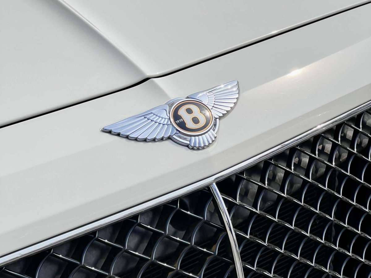 Bentley Tinyue2018 4.0T V8图片