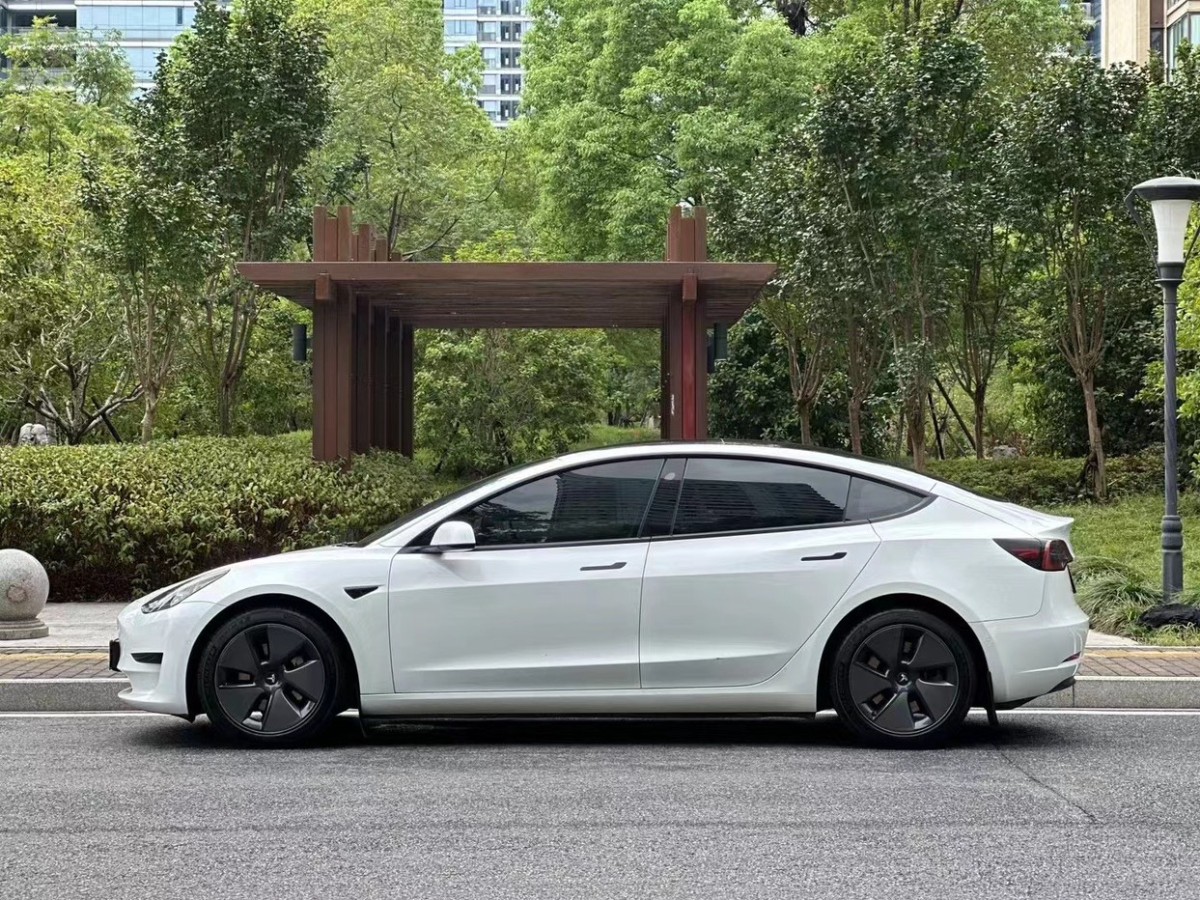 特斯拉 Model 3  2021款 標(biāo)準(zhǔn)續(xù)航后驅(qū)升級(jí)版圖片