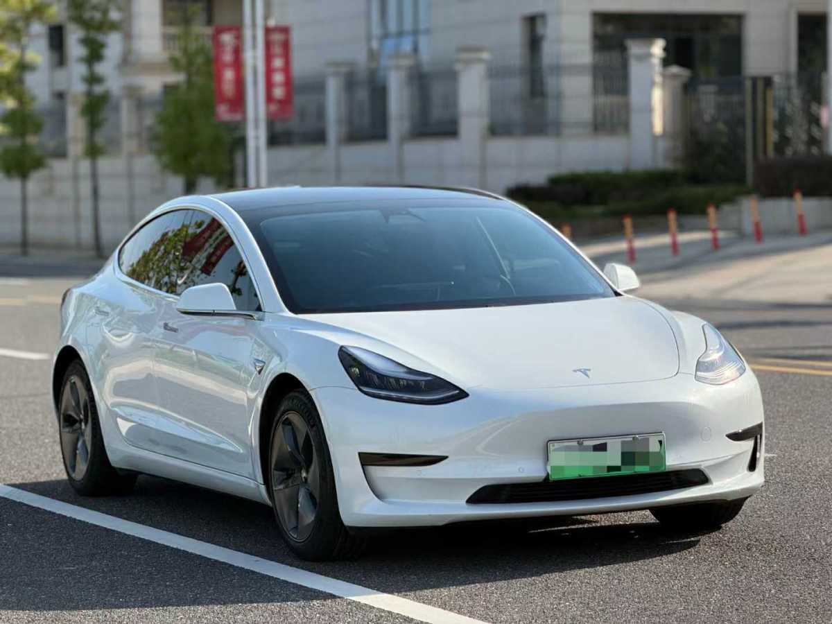 2021年1月特斯拉 Model Y  2020款 改款 標(biāo)準(zhǔn)續(xù)航后驅(qū)升級(jí)版