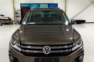 Tiguan 大眾 2.0TSI 專享版