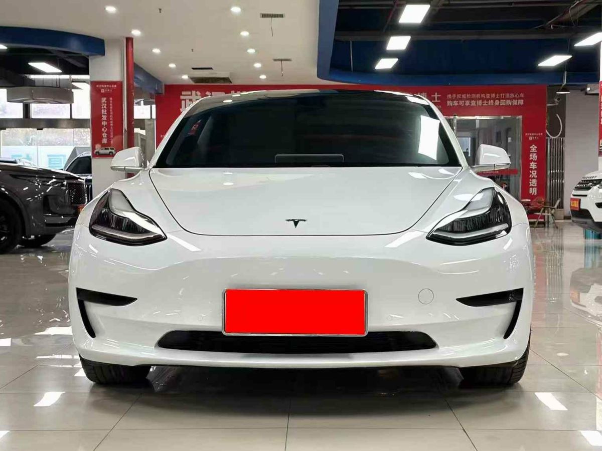 特斯拉 Model X  2020款 Performance 高性能版圖片