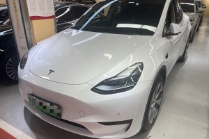 Model Y 特斯拉 改款 后輪驅(qū)動(dòng)版