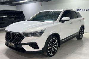 T77 奔騰  230 TID 自動(dòng)尊享型米粉版 國(guó)V