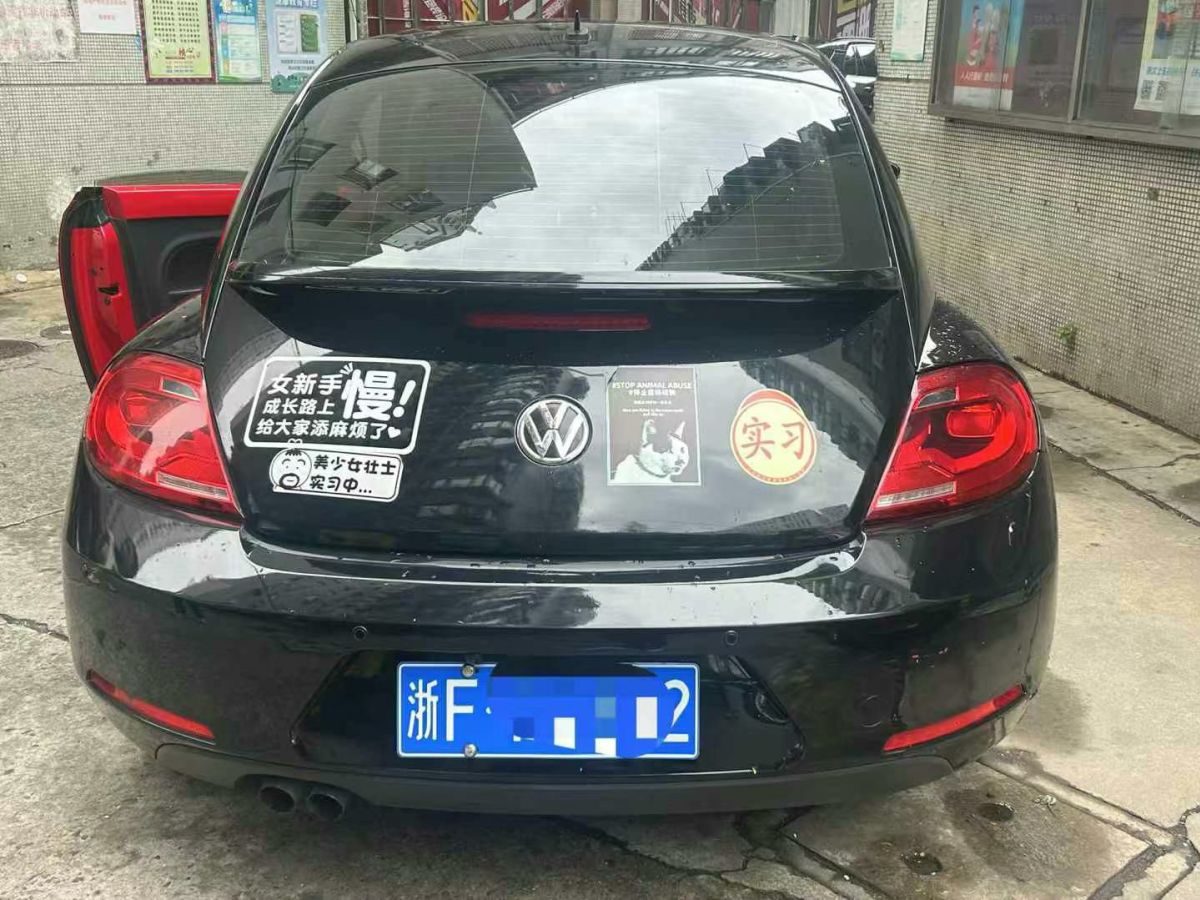 大眾 甲殼蟲 圖片