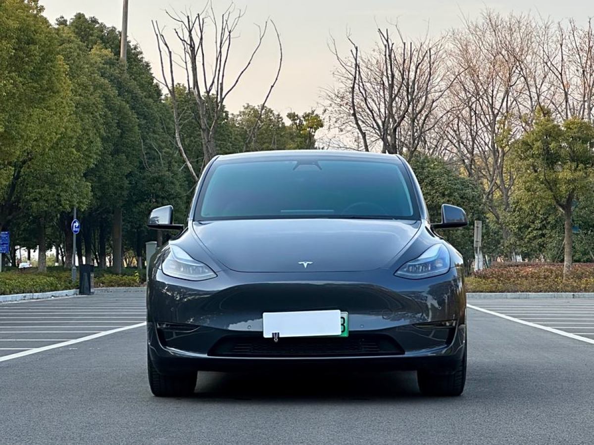 特斯拉 Model Y  2022款 改款 長(zhǎng)續(xù)航全輪驅(qū)動(dòng)版圖片