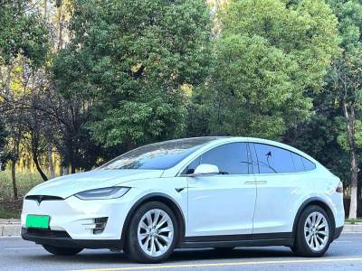 2017年5月 特斯拉 Model X Model X 90D圖片