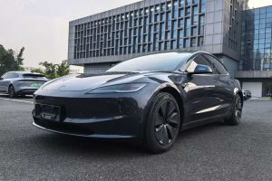 Model Y 特斯拉 Performance高性能版