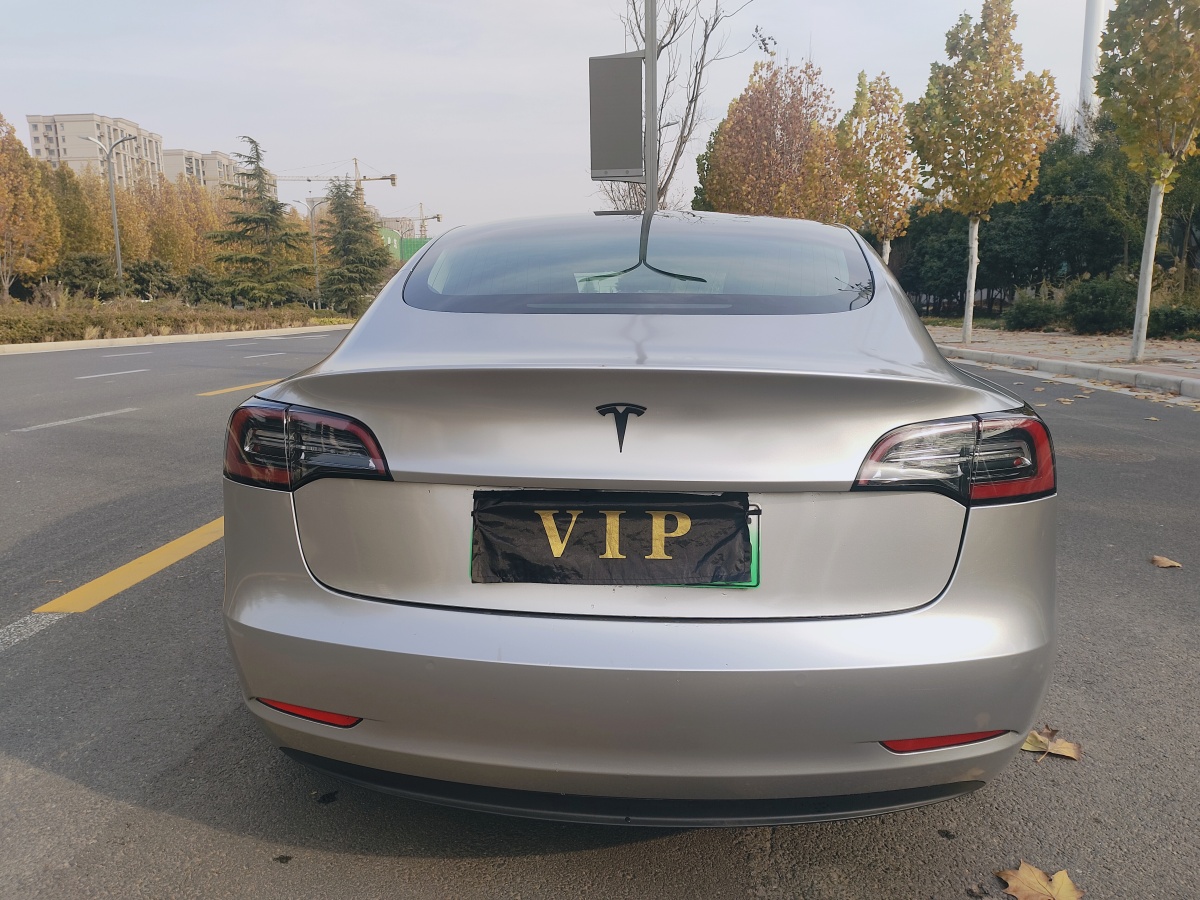 特斯拉 Model 3  2019款 標(biāo)準(zhǔn)續(xù)航后驅(qū)升級版圖片