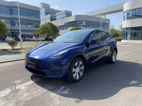 特斯拉 Model Y  2020款 改款 长续航后轮驱动版