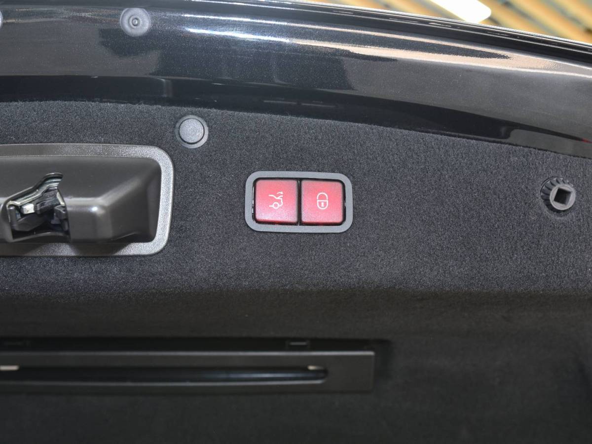 2019年3月奔驰 奔驰S级  2019款 S 450 L 4MATIC 臻藏版