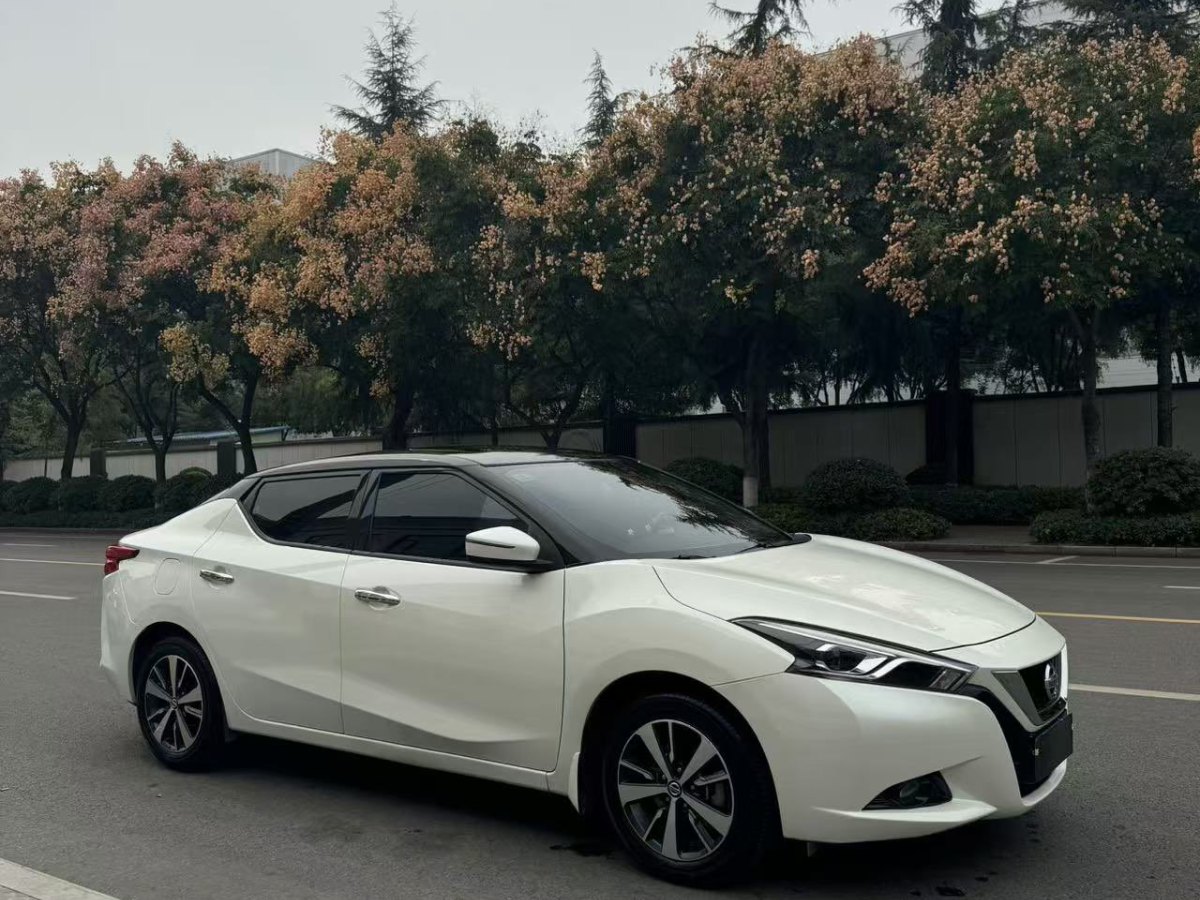 日產(chǎn) LANNIA 藍鳥  2021款 1.6L CVT炫酷版圖片