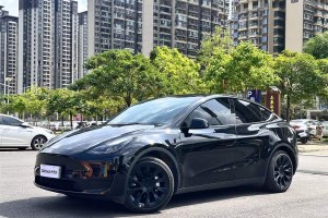 Model Y 特斯拉 改款 后輪驅(qū)動(dòng)版