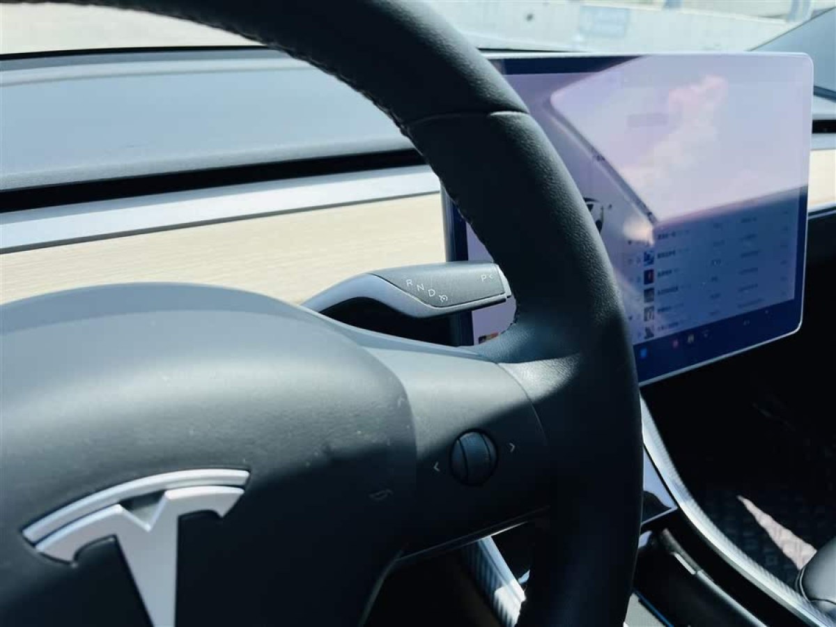 特斯拉 Model 3  2019款 標(biāo)準(zhǔn)續(xù)航后驅(qū)升級(jí)版圖片