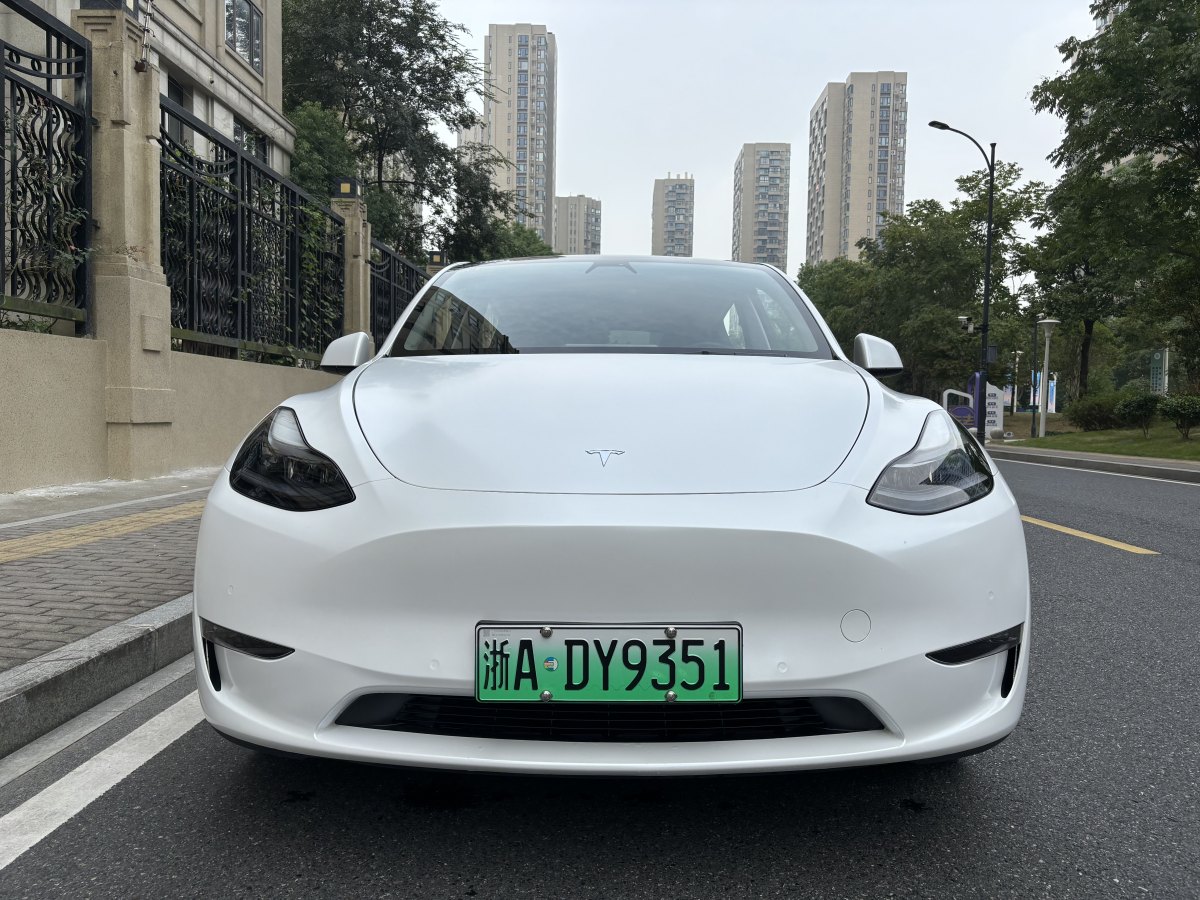 2022年1月特斯拉 Model Y  2023款 長(zhǎng)續(xù)航煥新版 雙電機(jī)全輪驅(qū)動(dòng)