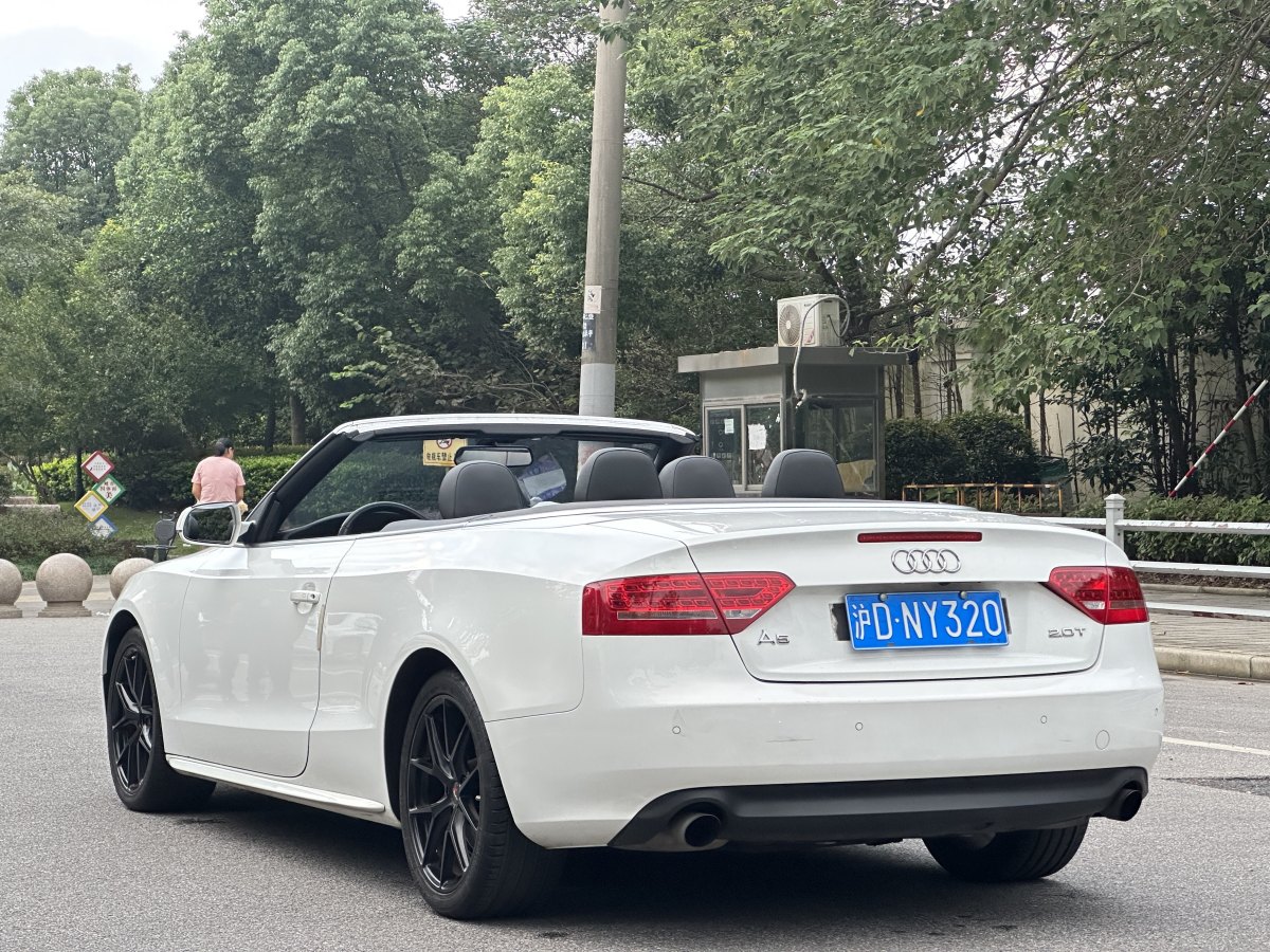 奧迪 奧迪A5  2010款 2.0TFSI Cabriolet圖片