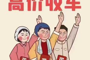 卡羅拉 豐田 TNGA 1.5L CVT先鋒版