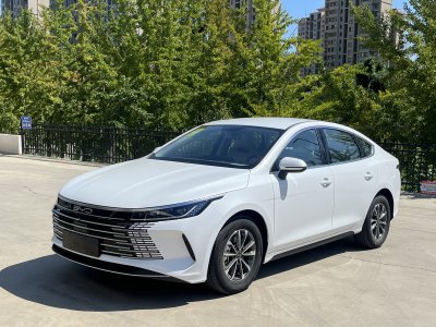 2024年9月 比亚迪 驱逐舰05 荣耀版 DM-i 55KM 豪华型图片