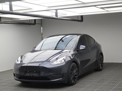 2023年1月 特斯拉 Model Y Performance高性能全轮驱动版图片