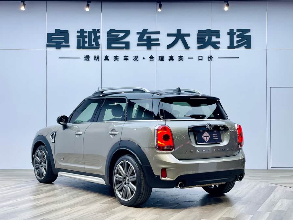 MINI COUNTRYMAN  2018款 2.0T COOPER S ALL4 藝術(shù)家圖片