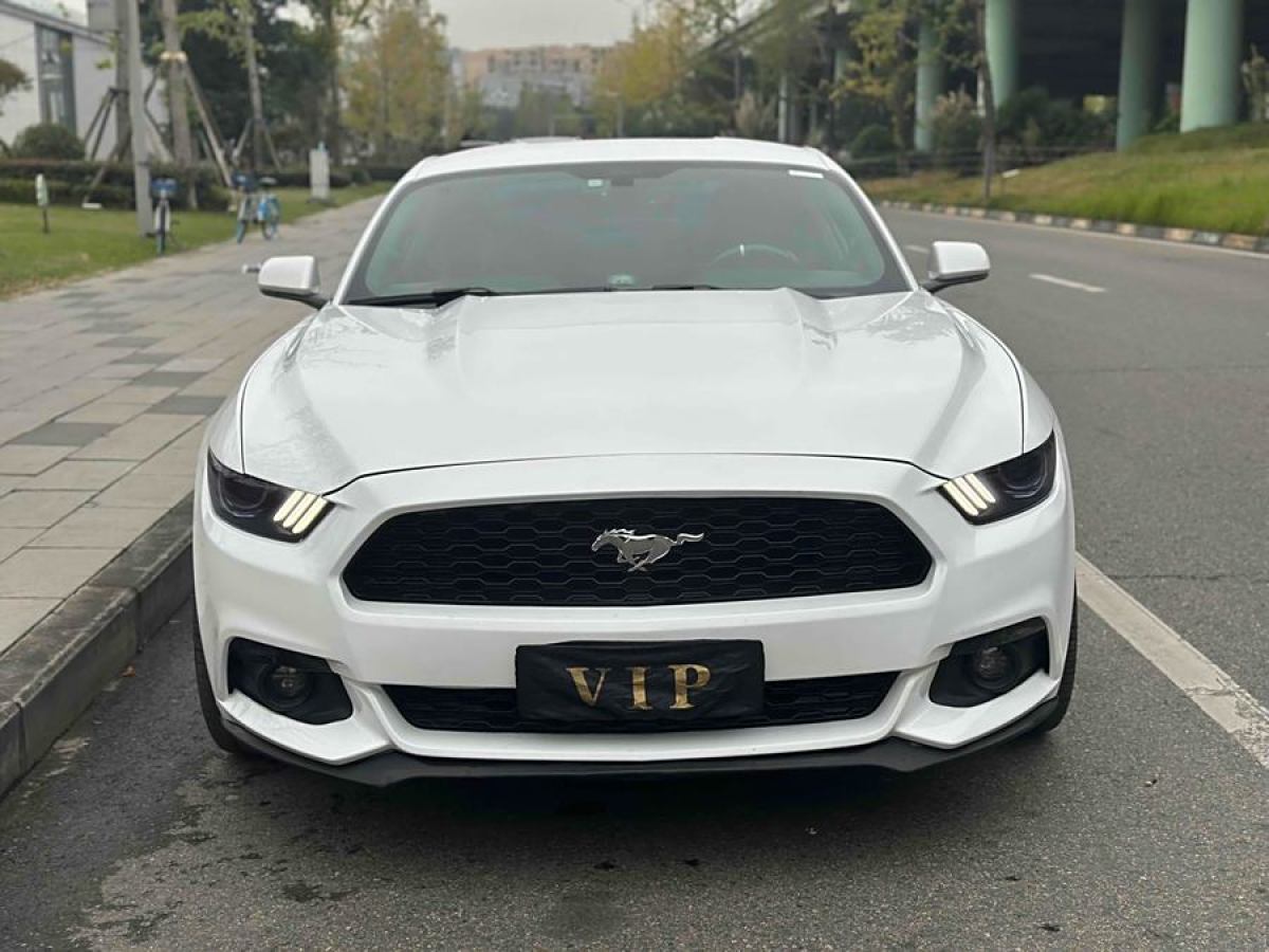 福特 Mustang  2015款 2.3T 50周年紀(jì)念版圖片