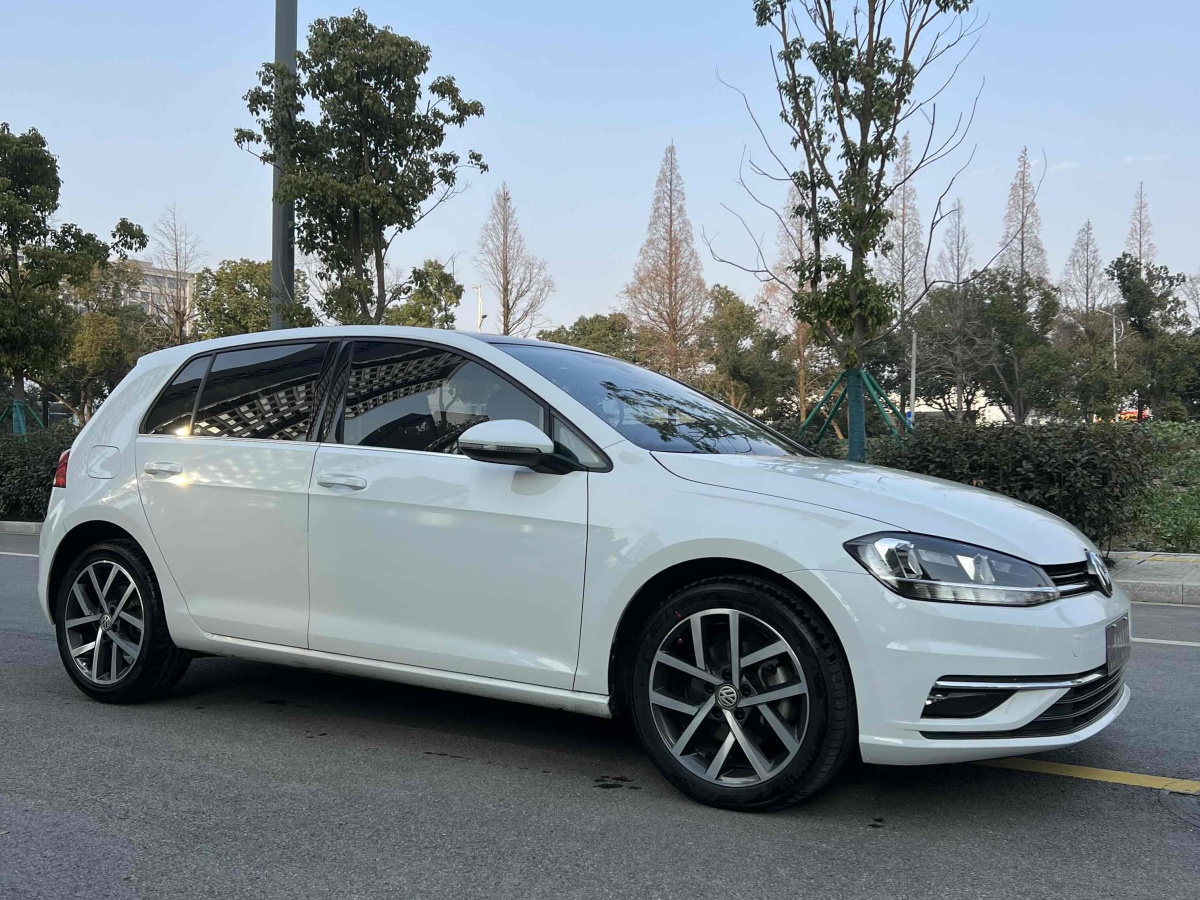 大眾 高爾夫  2020款 摯愛版 280TSI DSG舒適型圖片