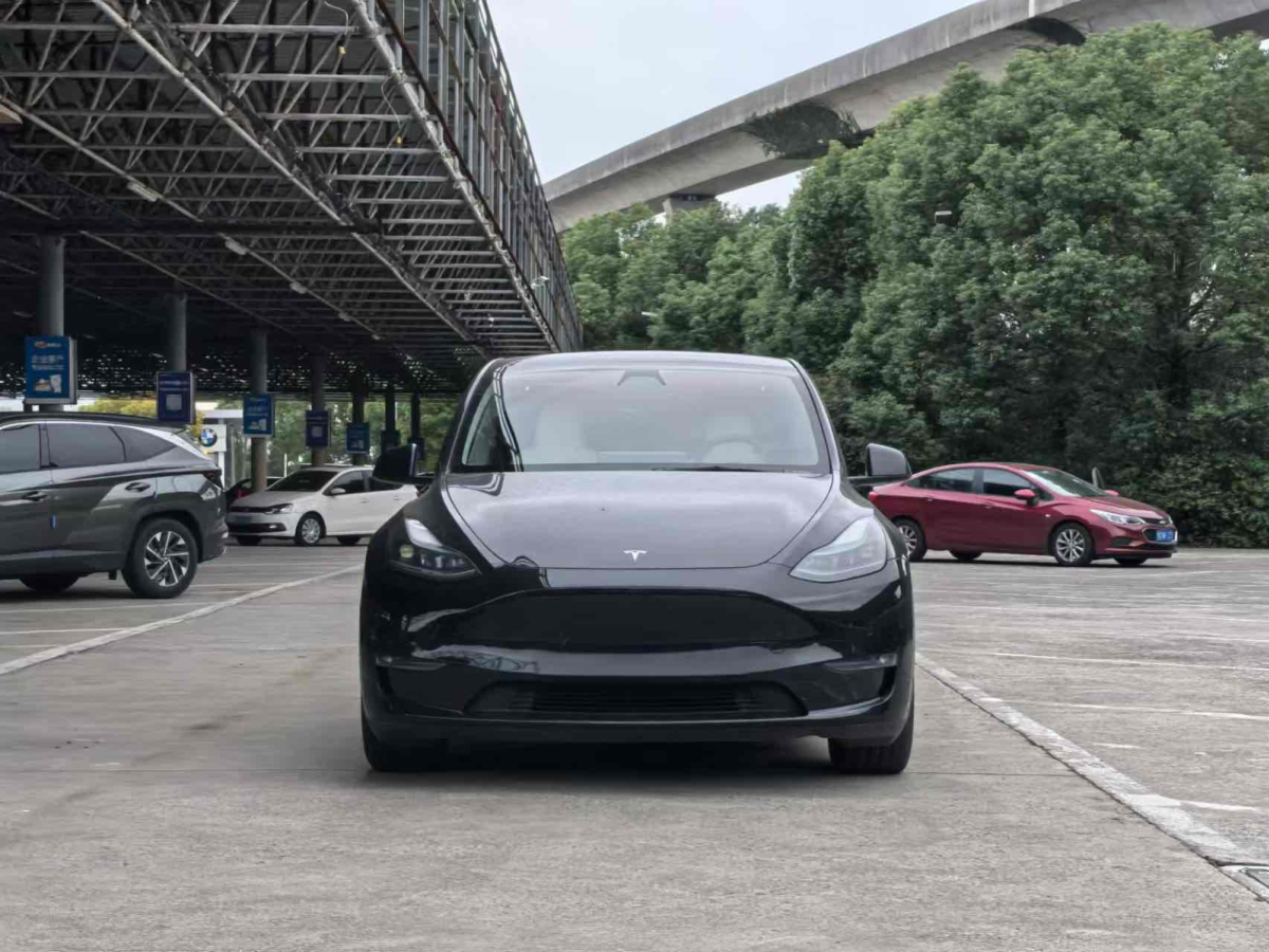 特斯拉 Model Y  2022款 Performance高性能全輪驅(qū)動版圖片