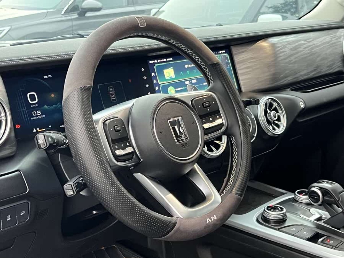坦克 坦克300  2021款 城市版 2.0T 很有型圖片