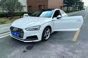 奥迪Q5 奥迪 典藏版 40 TFSI 技术型